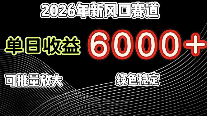 （17135期）2026年新风口赛道，当日6000+以上，可批量放大，月收入20万+，长期绿色稳定的项目|无忧资源社