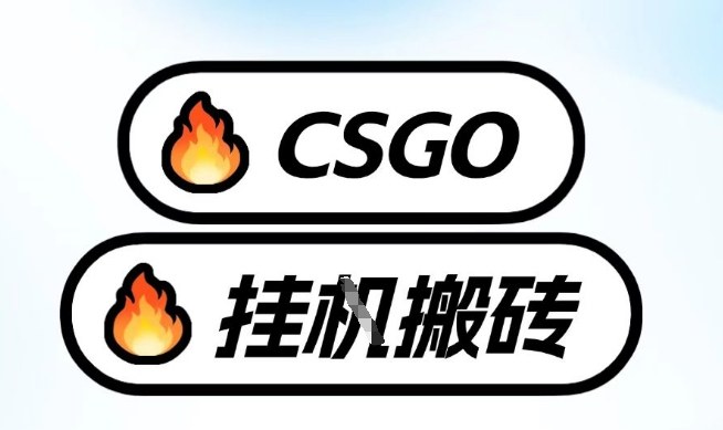 真全网独家CSGO挂G，最新玩法,单日捡漏1K+，不用电脑，不用打游戏【揭秘】|无忧资源社