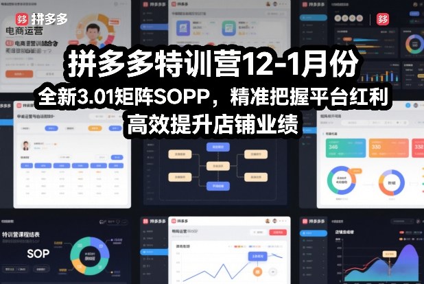 拼多多特训营12-1月份，全新3.01矩阵Sop，精准把握平台红利，高效提升店铺业绩|无忧资源社