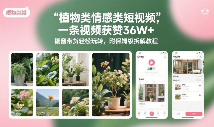 植物类情感类短视频，一条视频获赞36W+，橱窗带货轻松玩转，附保姆级拆解教程|无忧资源社