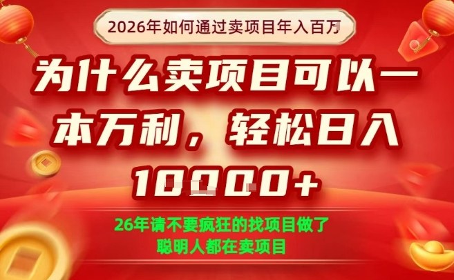 一单净利润1K+，26年想年入100个W，死磕卖项目就够了【揭秘】|无忧资源社