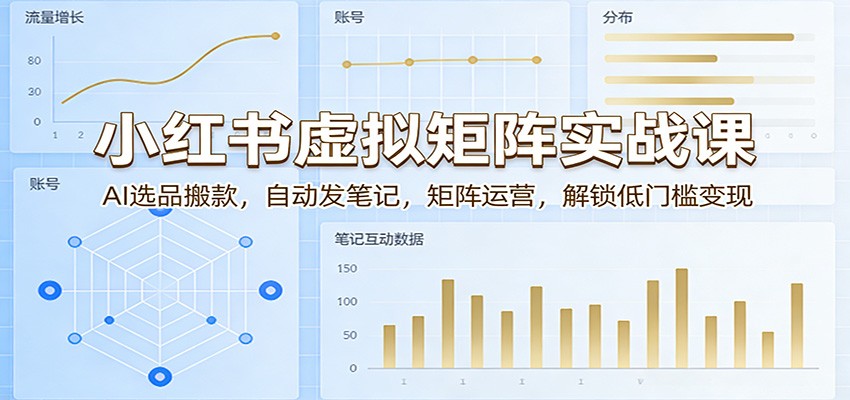 小红书虚拟矩阵实战课：AI选品搬款，自动发笔记，矩阵运营，解锁低门槛变现|无忧资源社