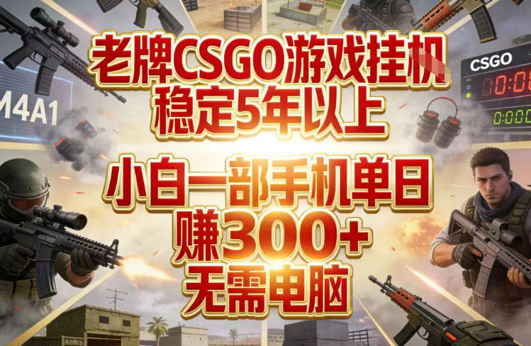 老牌CSGO游戏挂G，稳定5年以上，小白一部手机单日賺3张+，无需电脑【揭秘】|无忧资源社