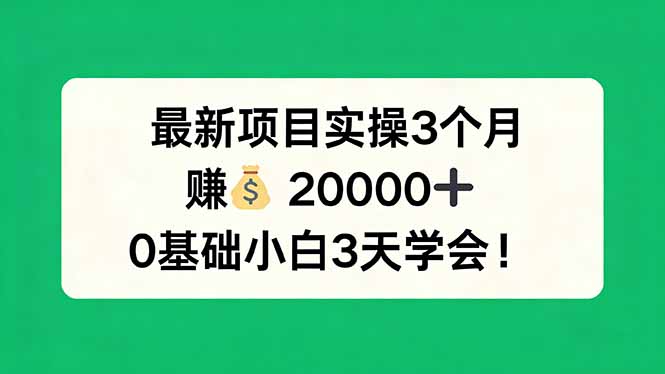 （17856期）最新项目实操3个月，赚钱20000+，0基础小白3天学会！|无忧资源社