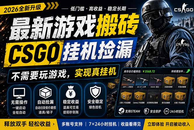 （18182期）最新游戏搬砖，CSGO纯挂机，不需要玩游戏，实现真挂机，月入1W+，五一小高峰上车可吃肉，…|无忧资源社