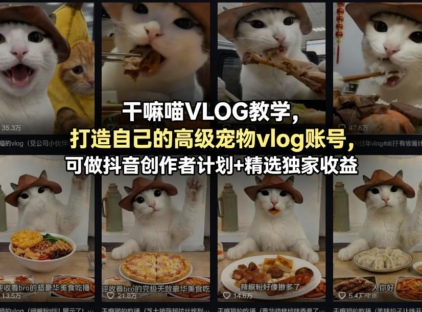 干嘛喵VLOG教学，打造自己的高级宠物vlog账号，可做抖音创作者计划+精选独家收益|无忧资源社
