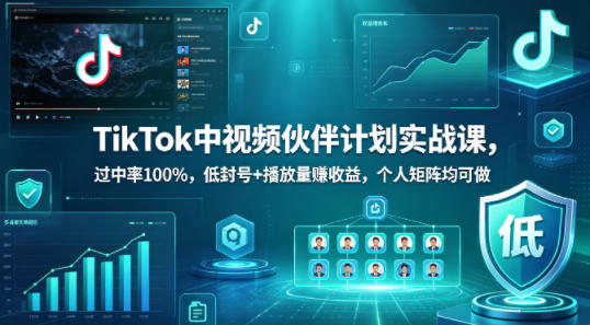 TikTok中视频伙伴计划实战课，过中率100%，低封号+播放量賺收益，个人矩阵均可做|无忧资源社