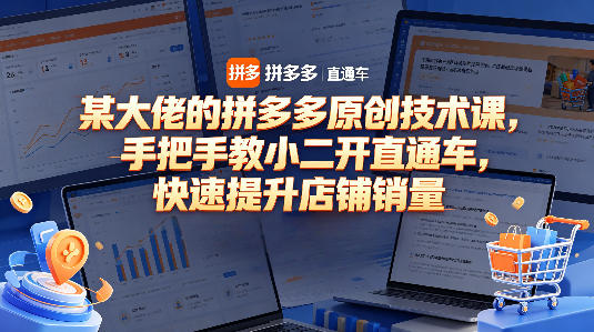 某大佬的拼多多原创技术课，手把手教小二开直通车，快速提升店铺销量|无忧资源社