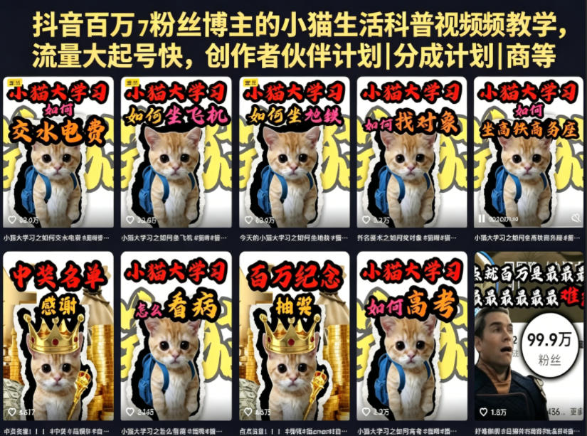 抖音百万粉丝博主的小猫生活科普视频教学，流量大起号快，创作者伙伴计划|分成计划|商单|收徒等|无忧资源社