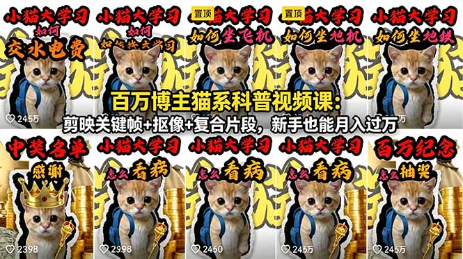 （18595期）百万博主猫系科普视频课：剪映关键帧+抠像+复合片段，新手也能月入过万|无忧资源社