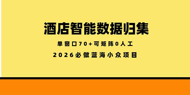 （18500期）酒店智能数据归集，小众蓝海已经稳定半年之久，单窗口70+零成本矩阵开干|无忧资源社