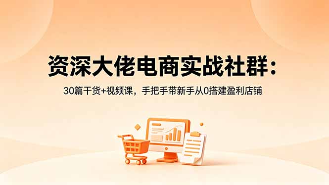 （18529期）资深大佬电商实战社群：30篇干货+视频课，手把手带新手从0搭建盈利店铺|无忧资源社