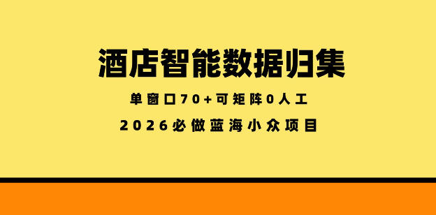 酒店智能数据归集,小众蓝海已经稳定半年之久,单窗口70+零成本矩阵开干【揭秘】|无忧资源社