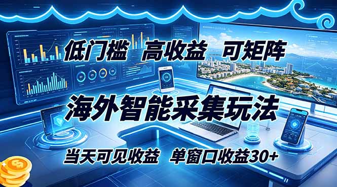 （18955期）海外智能采集玩法，低门槛高单价可矩阵，当天可见收益，单窗口30+|无忧资源社