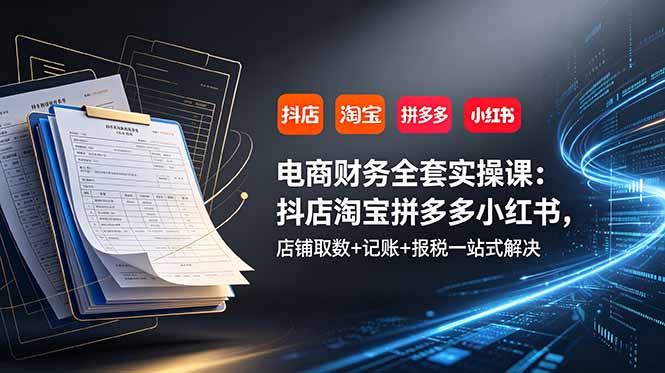 （19001期）电商财务全套实操课：抖店淘宝拼多多小红书，店铺取数+记账+报税一站式解决|无忧资源社