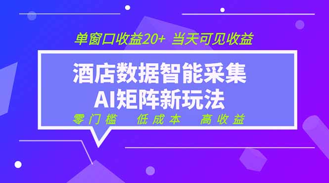 （19041期）2026酒店数据采集ai智能矩阵新风口  低成本   高收益   当天见收益   单窗口20+|无忧资源社