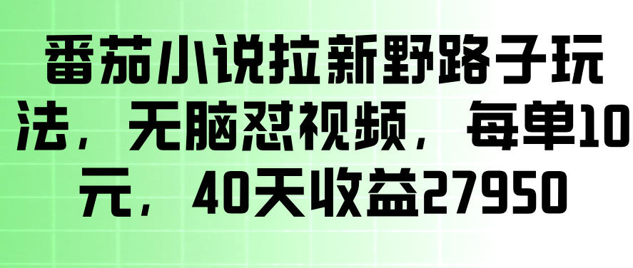番茄小说拉新野路子玩法，无脑怼视频，玩法简单、见效快，每单10米，40天收益27950|无忧资源社