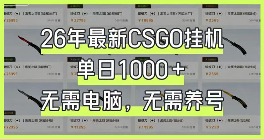 26年最新CSGO挂G系统，单日1000+，无需电脑，无需养号，0基础可上手【揭秘】|无忧资源社