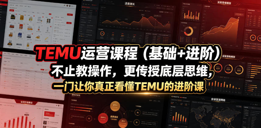 TEMU运营课程（基础+进阶），不止教操作，更传授底层思维，一门让你真正看懂TEMU的进阶课|无忧资源社