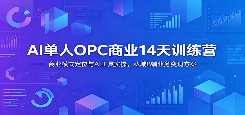 AI单人OPC商业14天训练营：商业模式定位与AI工具实操，私域B端业务变现方案|无忧资源社