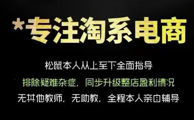 松鼠会电商VIP课程，从基础布局到高阶优化，助你掌握淘宝运营逻辑，提升店铺流量与转化|无忧资源社