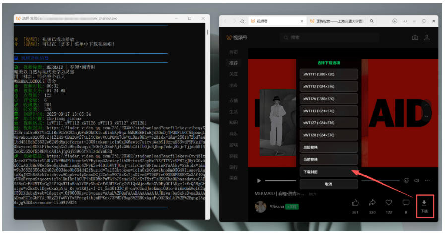 图片[4]|Github热门工具，视频号下载神器又来了！一键注入下载按钮，轻松下载，使用便捷wx_channel|无忧资源社