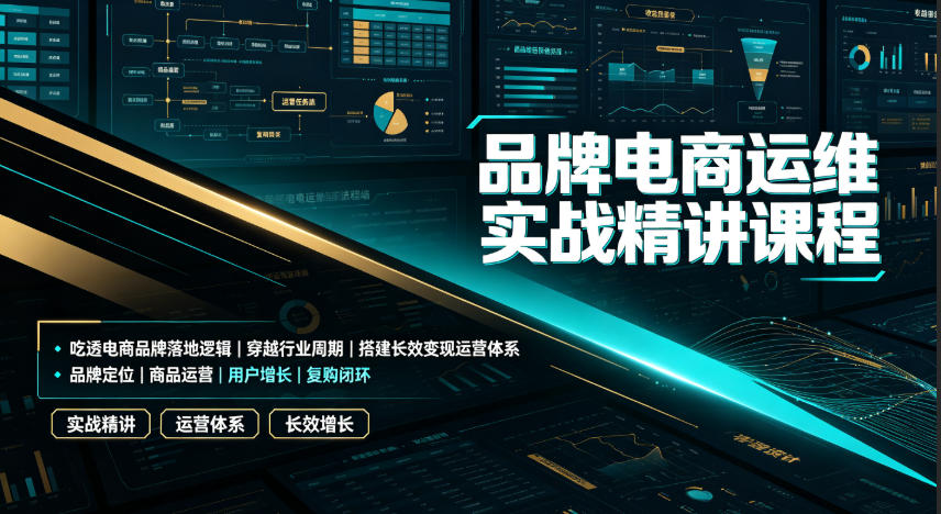 品牌电商运维实战精讲课程｜吃透电商品牌落地逻辑、穿越行业周期、搭建长效变现运营体系|无忧资源社