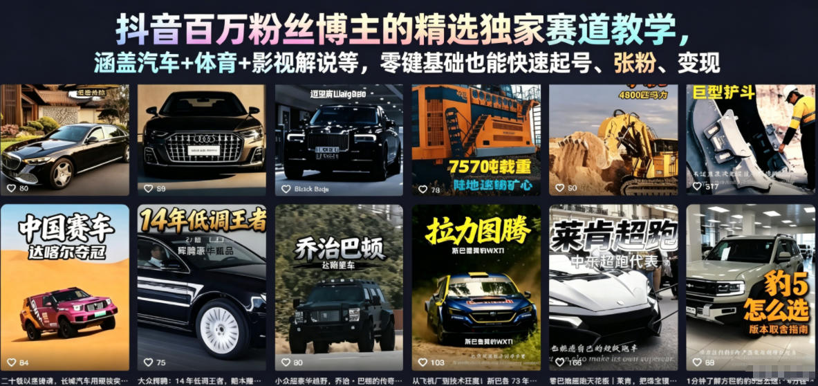 抖音百万粉丝博主的精选独家赛道教学，涵盖汽车+体育+影视解说等，零基础也能快速起号、涨粉、变现（更新0701）|无忧资源社