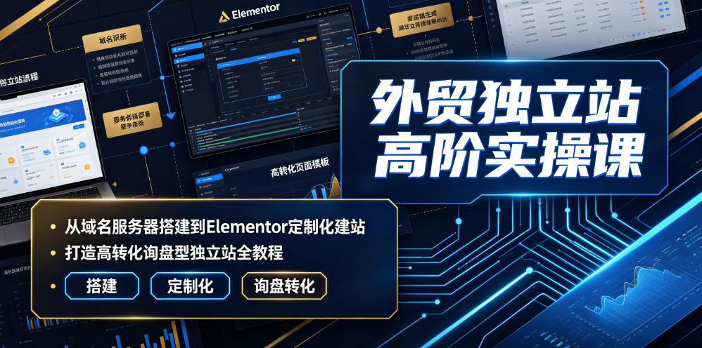 外贸独立站高阶实操课｜从域名服务器搭建到Elementor定制化建站，打造高转化询盘型独立站全教程|无忧资源社