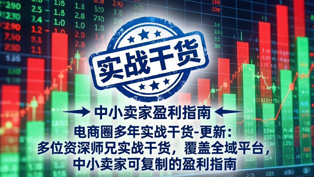 （19761期）电商圈多年实战干货-更新2026：多位资深师兄实战干货/覆盖全域平台，中小卖家可复制的盈利指南|无忧资源社