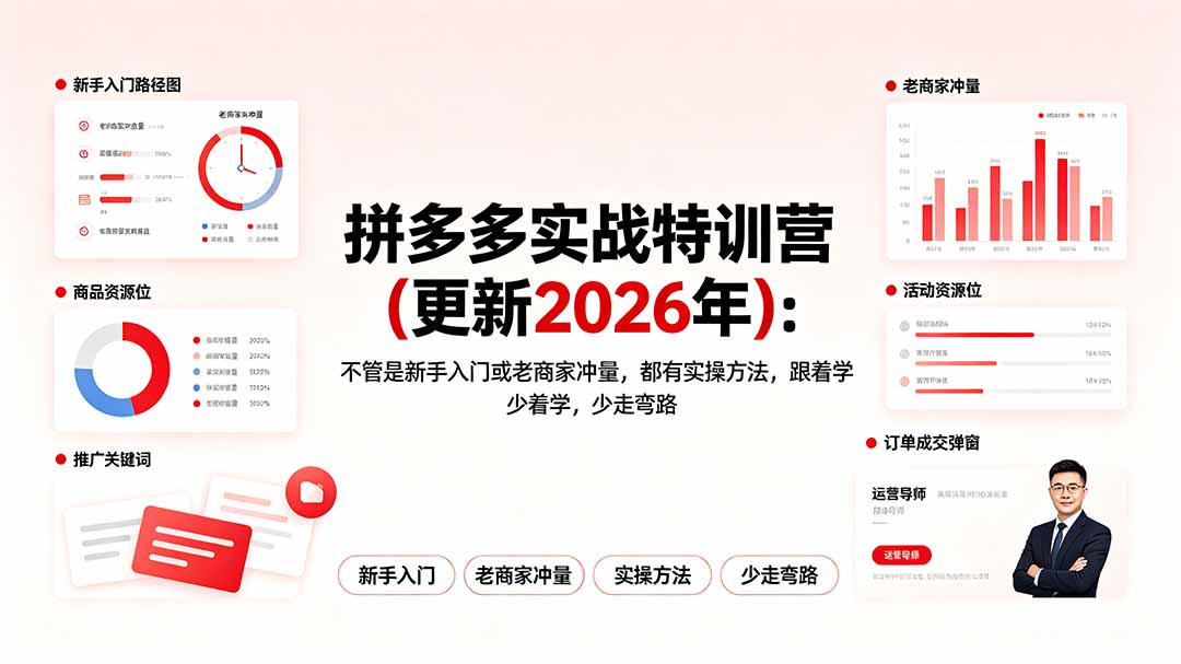 （19724期）拼多多实战特训营(更新2026年)：不管是新手入门或老商家冲量，都有实操方法，跟着学，少走弯路|无忧资源社