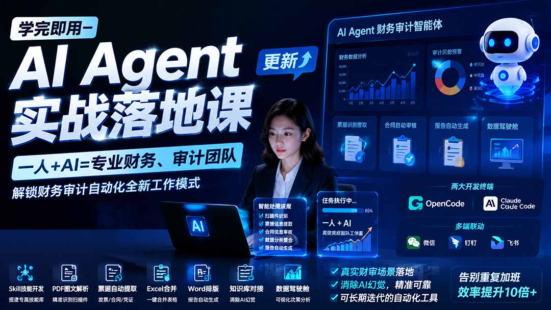 （19702期）学完即用—AI Agent实战落地课-更新：一人+AI=专业财务、审计团队，解锁财务审计自动化全新工作模式|无忧资源社