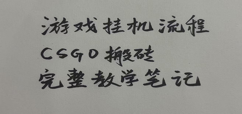 游戏挂机全流程笔记分享，CSGO游戏搬砖，小白看了当天学会见收益|无忧资源社