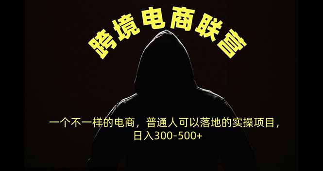（20702期）跨境电商联营，一个不一样的电商，普通人可操作日入300-500+|无忧资源社