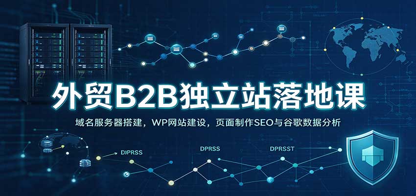 外贸B2B独立站落地课：域名服务器搭建，WP网站建设，页面制作SEO与谷歌数据分析|无忧资源社