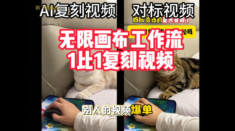 宠物带货视频复刻，无限画布工作流1比1，不用拍摄、不用布景、不用真人出镜，几分钟就能做出一条专业带货视频|无忧资源社