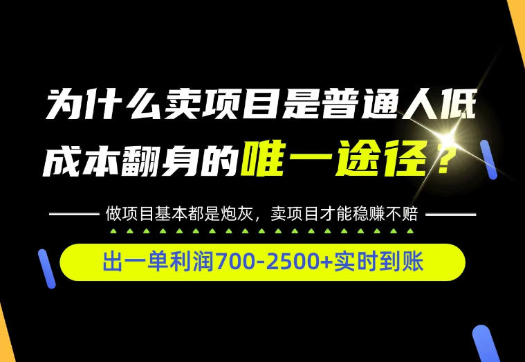 普通人如何靠互联网賺取自己的第一桶金！全类目实操型教学，看完你全都懂了！【揭秘】|无忧资源社