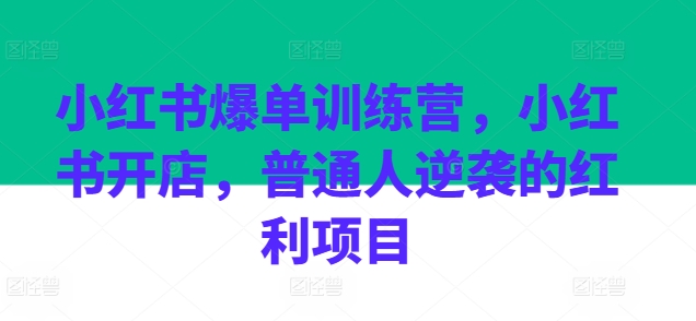 小红书爆单训练营，小红书开店，普通人逆袭的红利项目|无忧资源社