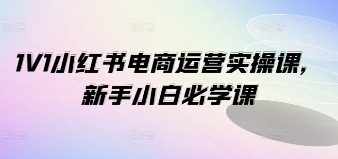1V1小红书电商运营实操课，新手小白必学课|无忧资源社