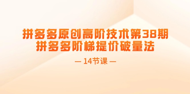 （11704期）拼多多原创高阶技术第38期，拼多多阶梯提价破量法（14节课）|无忧资源社