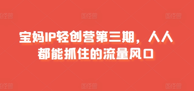 宝妈IP轻创营第三期，人人都能抓住的流量风口|无忧资源社