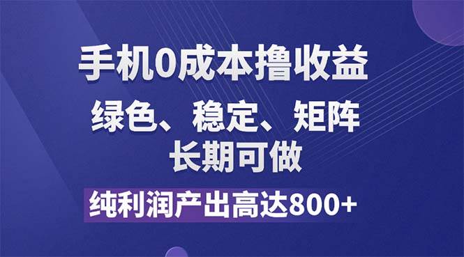（11976期）纯利润高达800+，手机0成本撸羊毛，项目纯绿色，可稳定长期操作！|无忧资源社