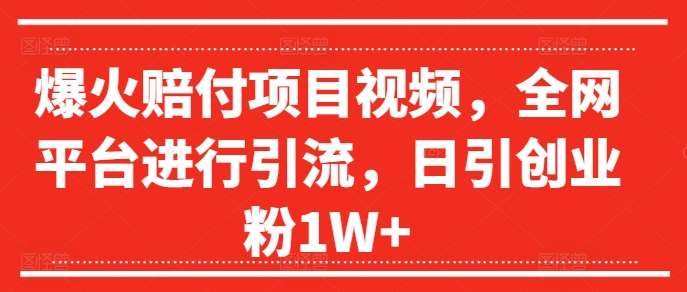 爆火赔付项目视频，全网平台进行引流，日引创业粉1W+【揭秘】|无忧资源社
