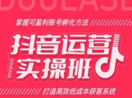 抖音运营实操班，掌握可盈利账号孵化方法，打造高效低成本获客系统|无忧资源社
