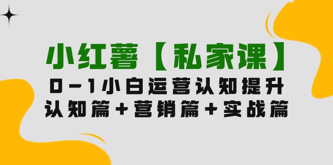 小红薯【私家课】0-1玩赚小红书内容营销，认知篇+营销篇+实战篇（11节课）_无忧资源社|无忧资源社