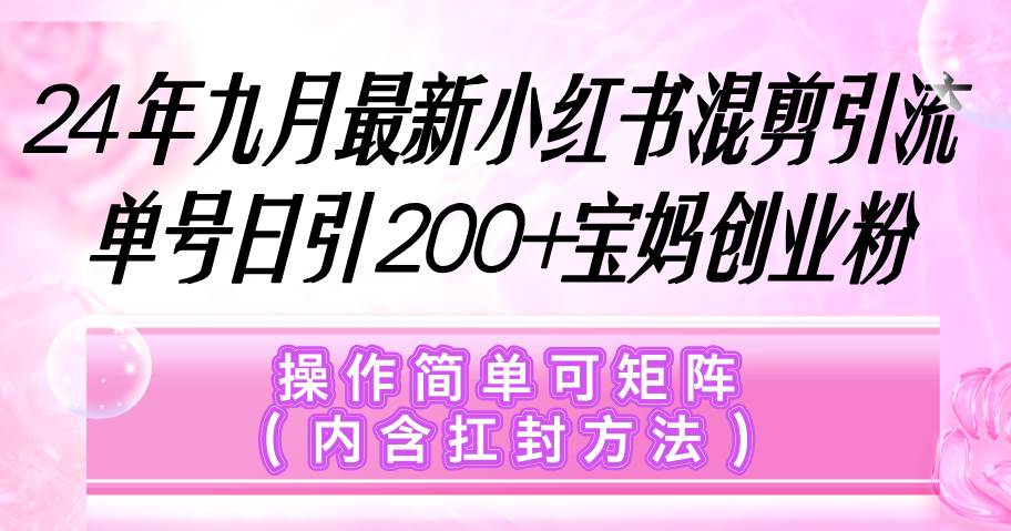 （12530期）小红书混剪引流，单号日引200+宝妈创业粉，操作简单可矩阵（内含扛封…|无忧资源社