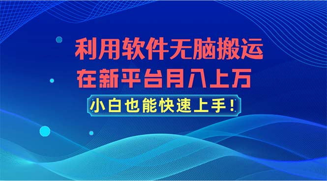 利用软件无脑搬运，在新平台月入上万，小白也能快速上手|无忧资源社