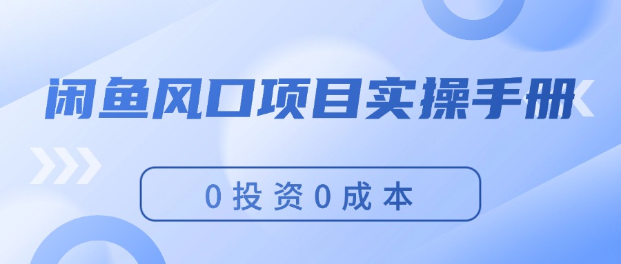 （11923期）闲鱼风口项目实操手册，0投资0成本，让你做到，月入过万，新手可做|无忧资源社