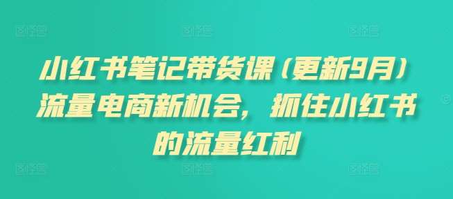 小红书笔记带货课(更新9月)流量电商新机会，抓住小红书的流量红利|无忧资源社