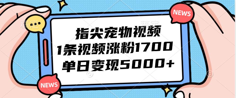 （12549期）指尖宠物视频，1条视频涨粉1700，单日变现5000+|无忧资源社
